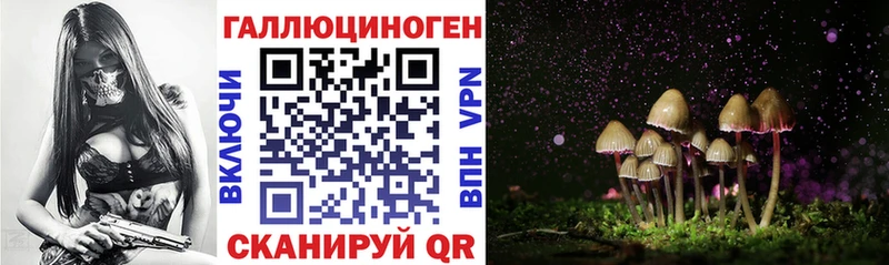 закладка  Малоархангельск  Галлюциногенные грибы GOLDEN TEACHER 